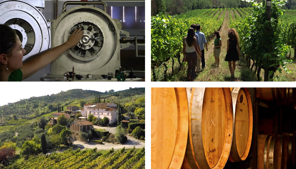Olive oil tours